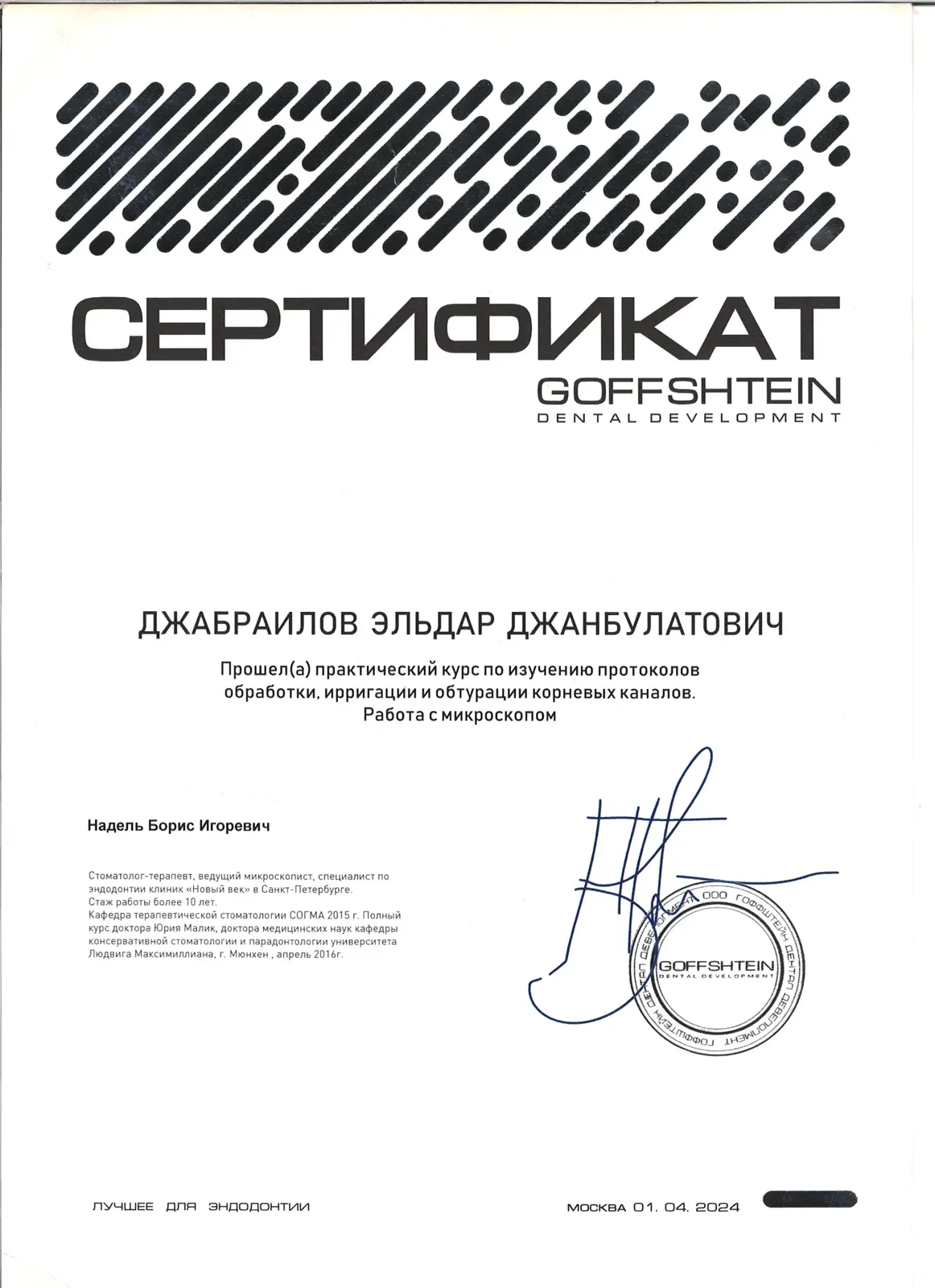 Обработка, ирригация и обтурация корневых каналов. Работа под увеличением (Goffshtein)